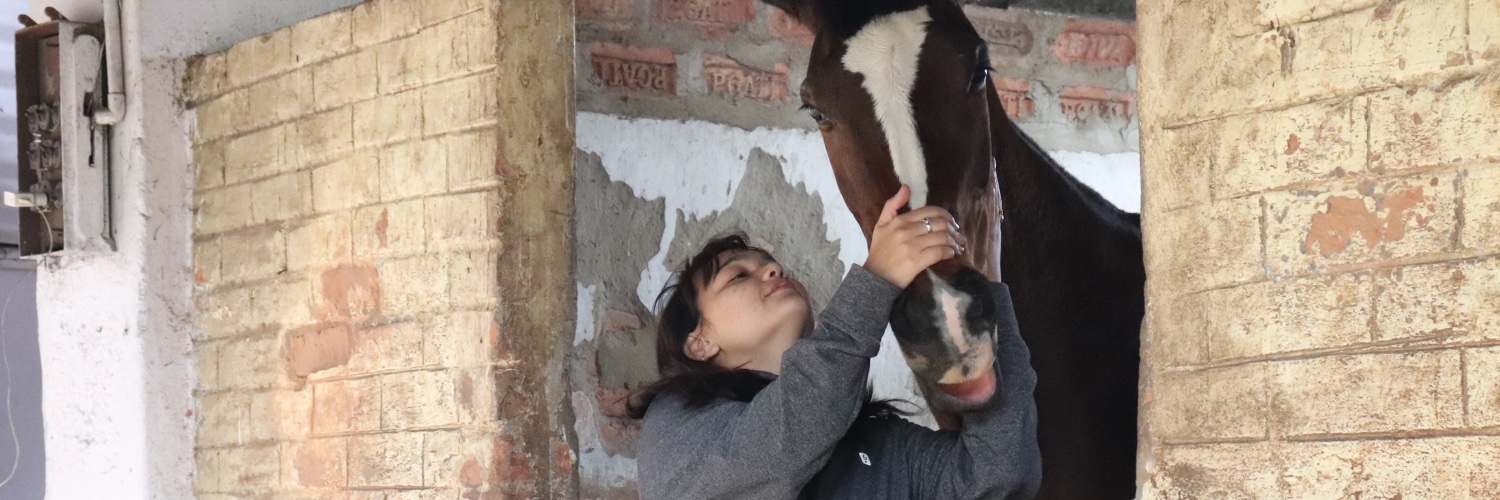 horselover3106's profile banner image