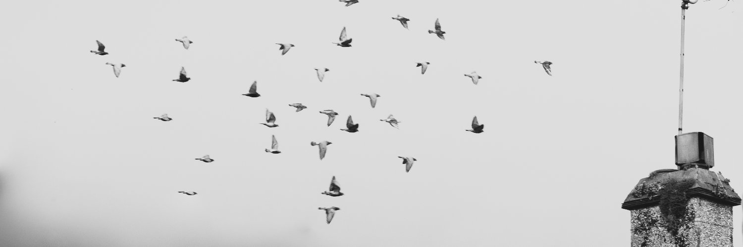 Jbushellphoto's profile banner image