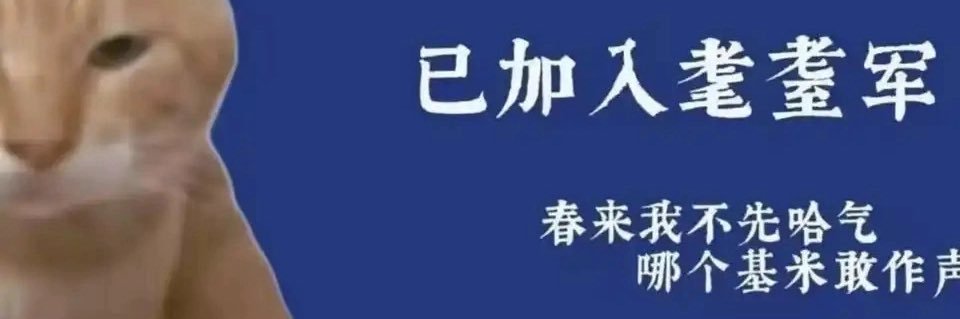 耄 banner
