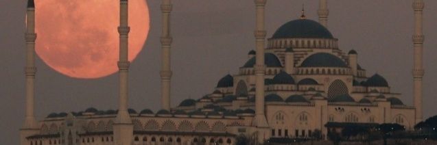 Elon___Mosque's profile banner image