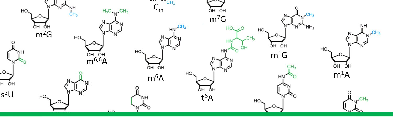 RMaP - TRR319 banner