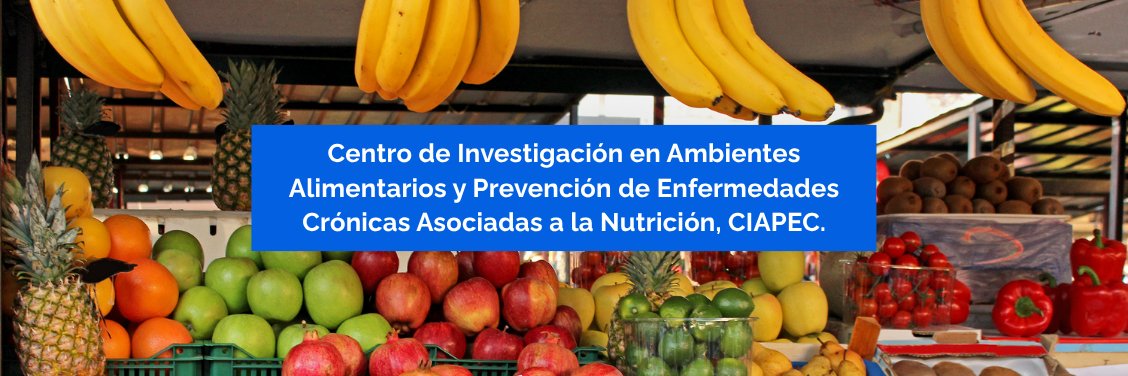 CIAPEC - INTA Uchile banner