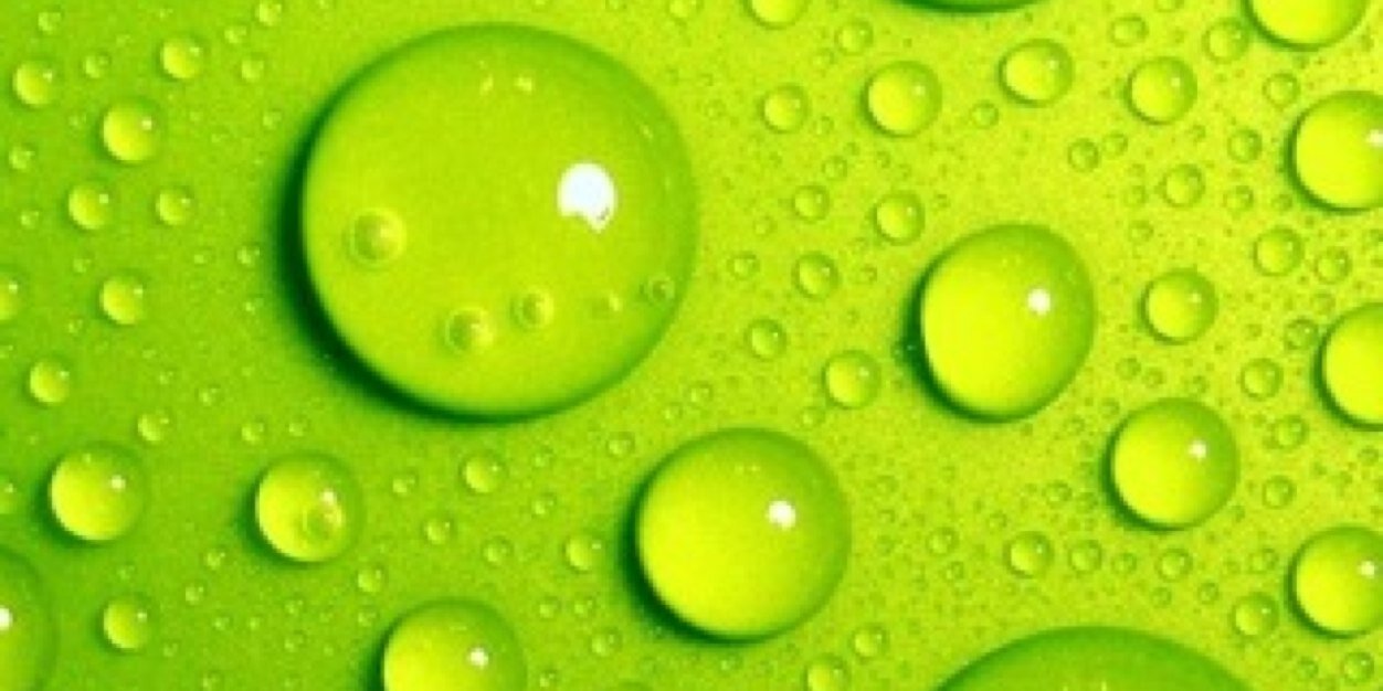 Rocio_Castro's profile banner image