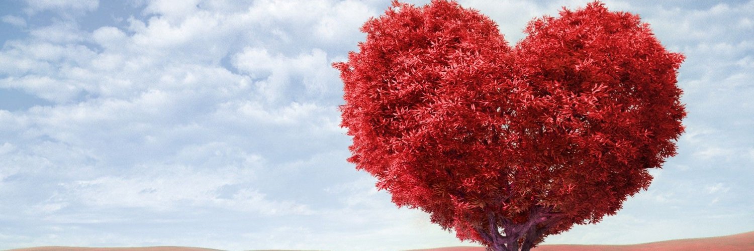 Bingo14795's profile banner image