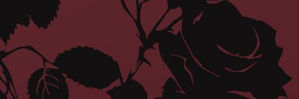 S0verN 🏳️‍⚧️ banner