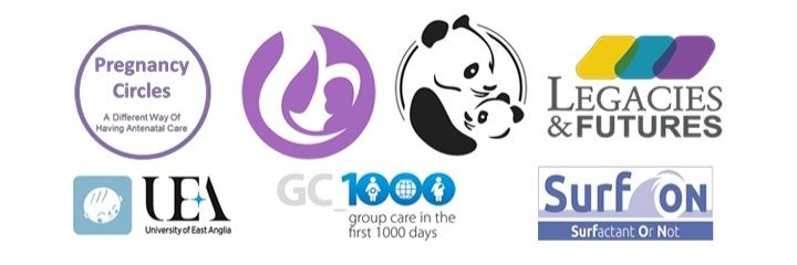 ESTH Maternity Research banner