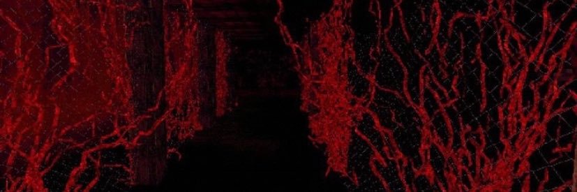 cxnxttx's profile banner image
