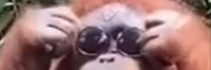 _Krasmus's profile banner image