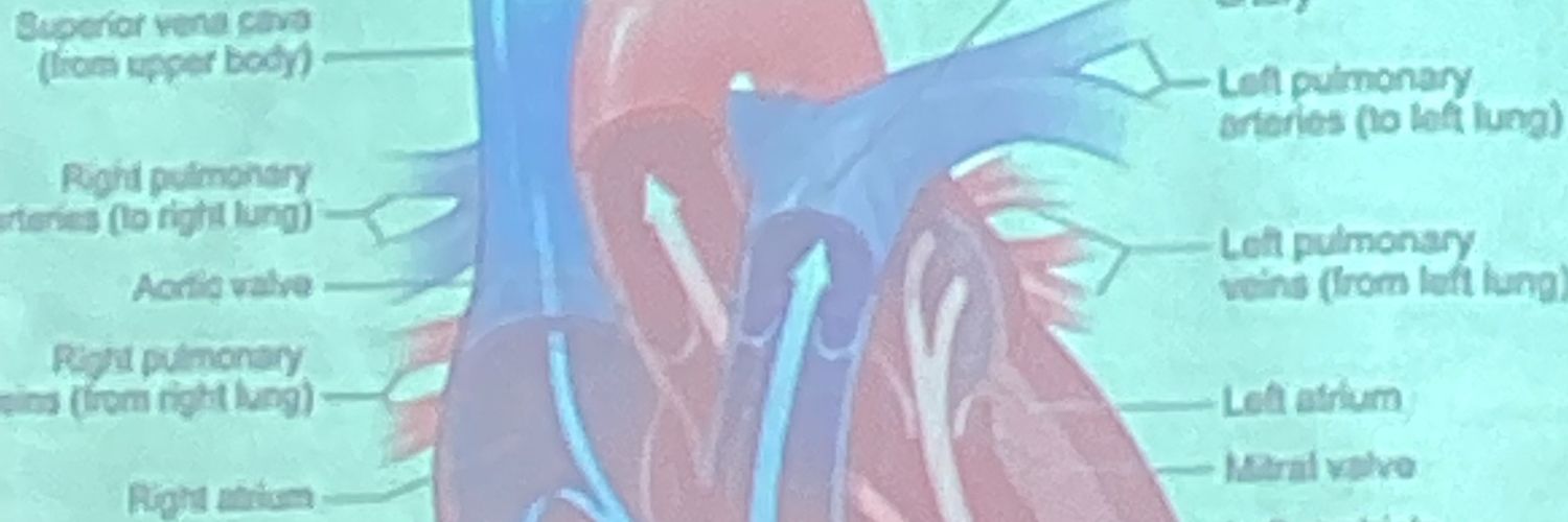404hiwko's profile banner image