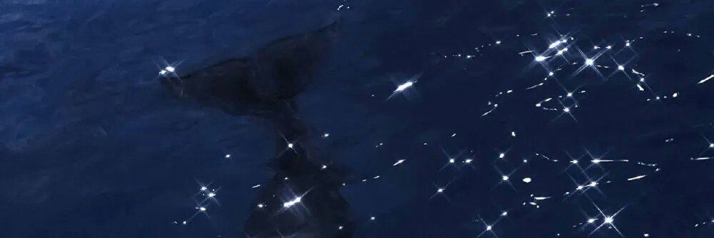 Tom67761653's profile banner image