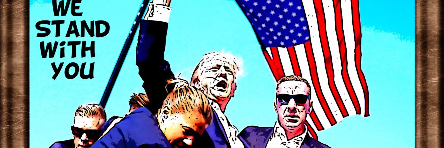 PghSeal's profile banner image