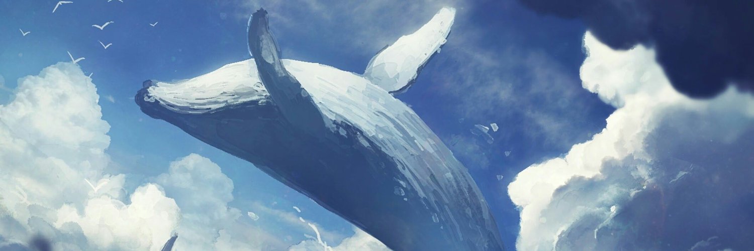 LittleTuktuk's profile banner image