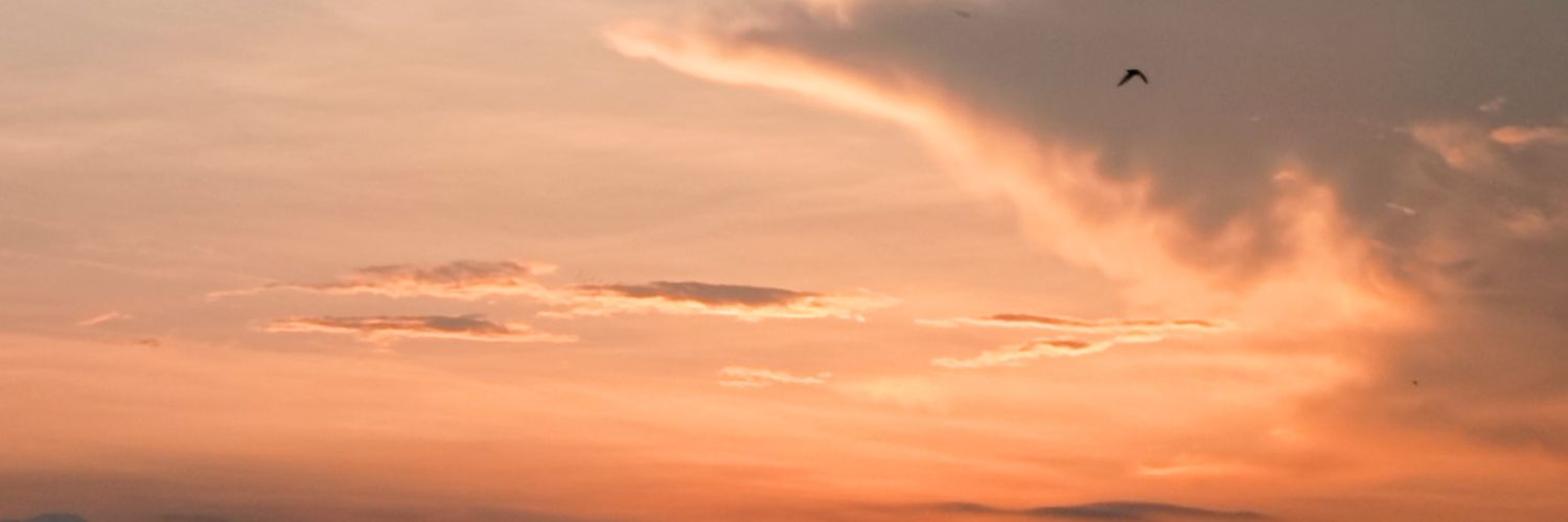 Ponpakapann's profile banner image