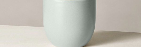 raesanni Profile Banner