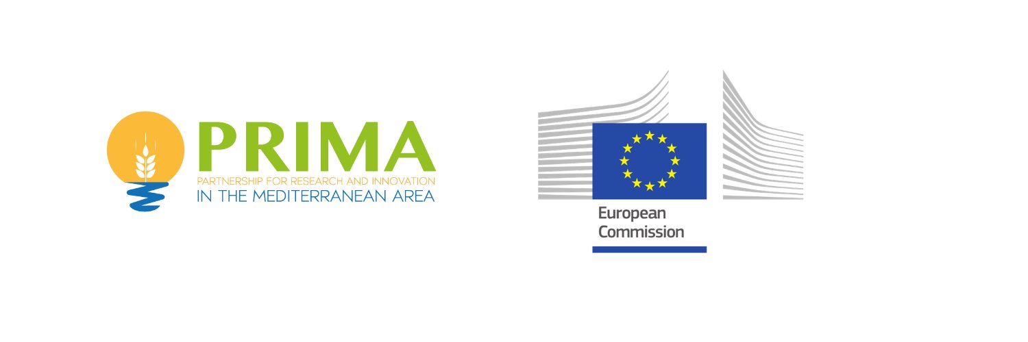 MAGO Prima Project banner