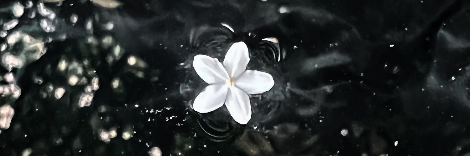 Seventeex1's profile banner image
