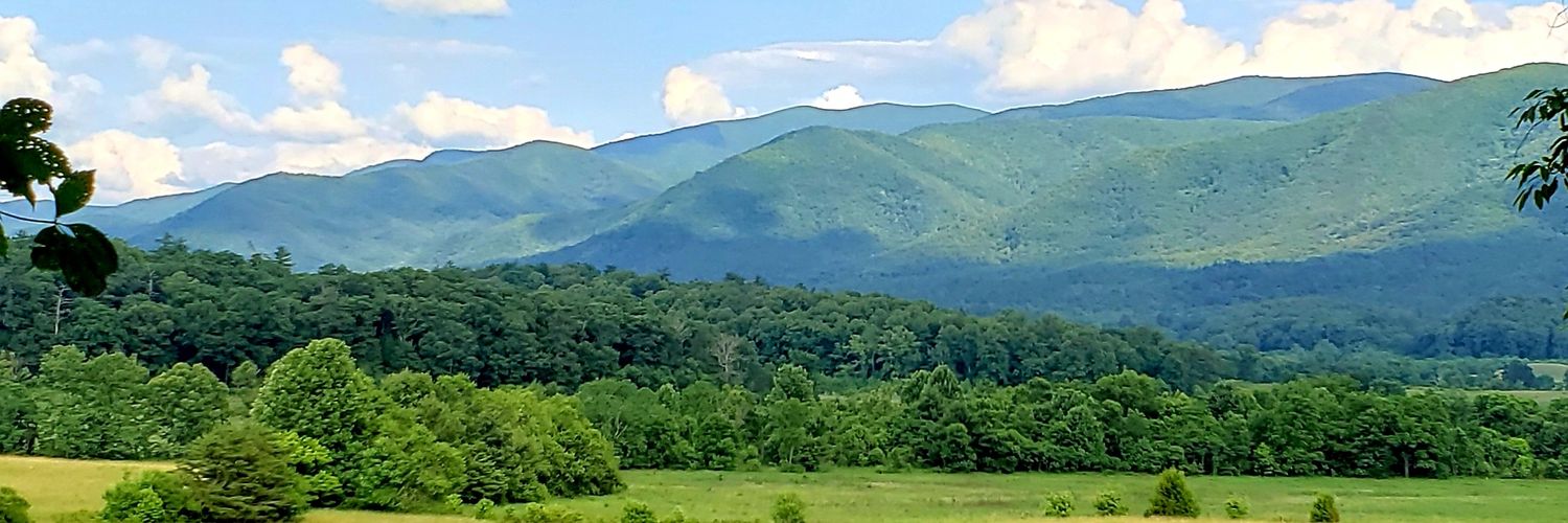 BlessedTNGal's profile banner image