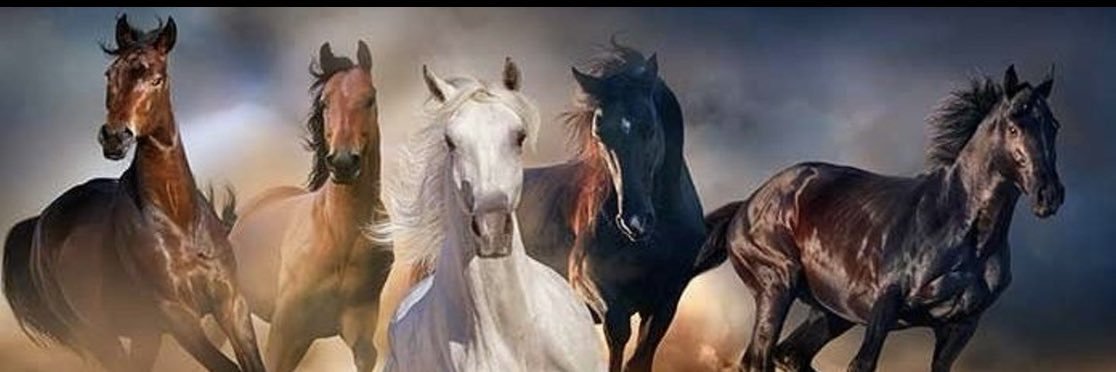 ,ٍغرووووبــ🦋 banner
