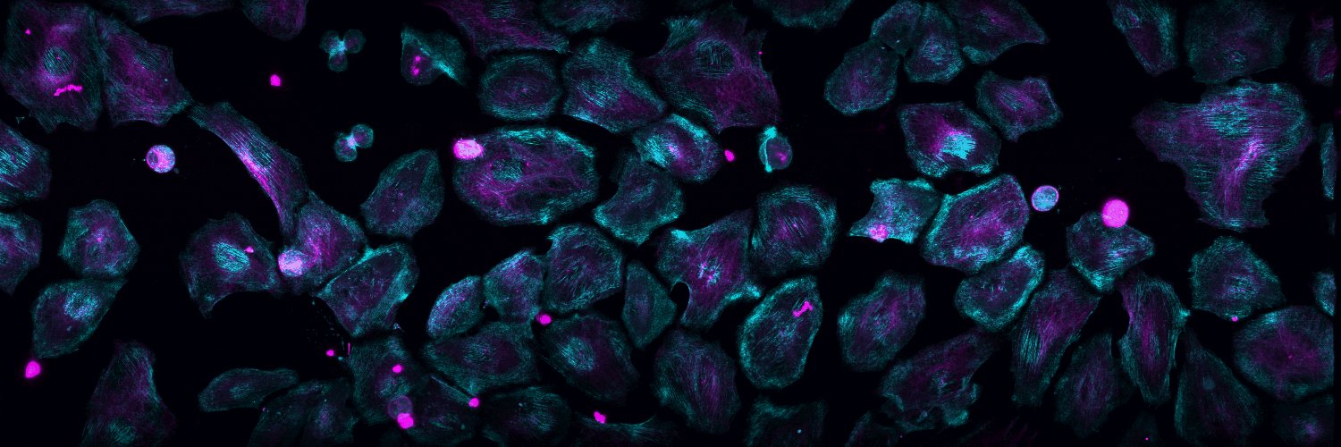 nadjahuempf.bsky.social (she/her) banner