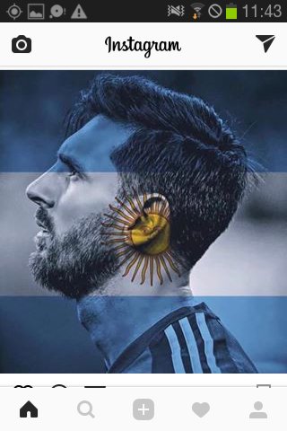 BriPolak's profile banner image