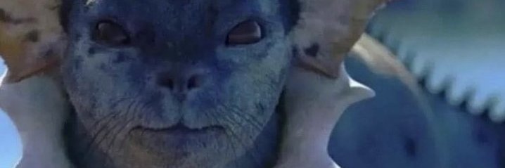 rave_trr's profile banner image