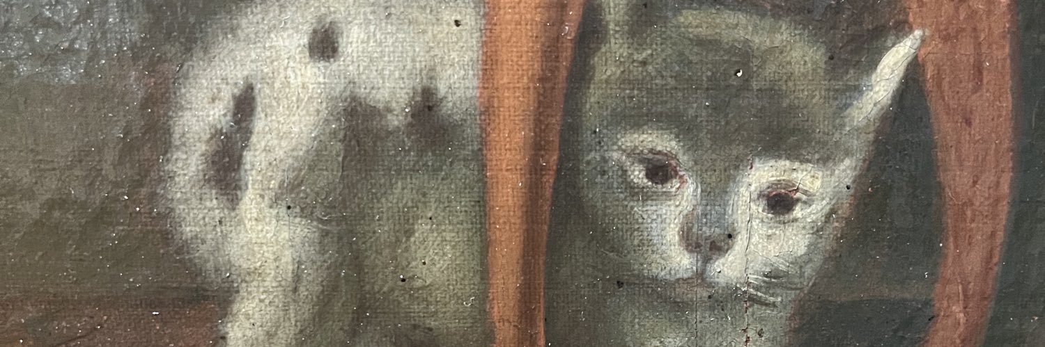 Кудрявый Кот banner