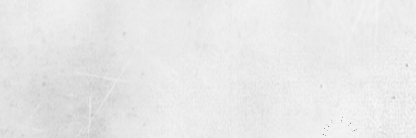 Lem_22foX's profile banner image