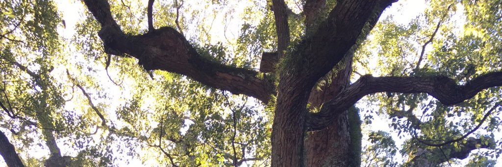 pgpg7161's profile banner image