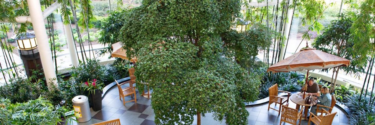 Kayte Spector-Bagdady banner