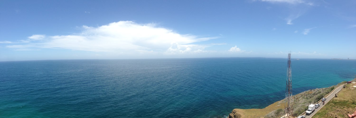 Andreina Fernandes banner