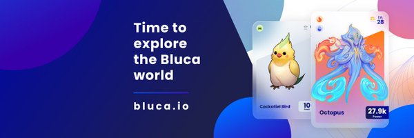 Bluca | NFT - GameFi Profile Banner