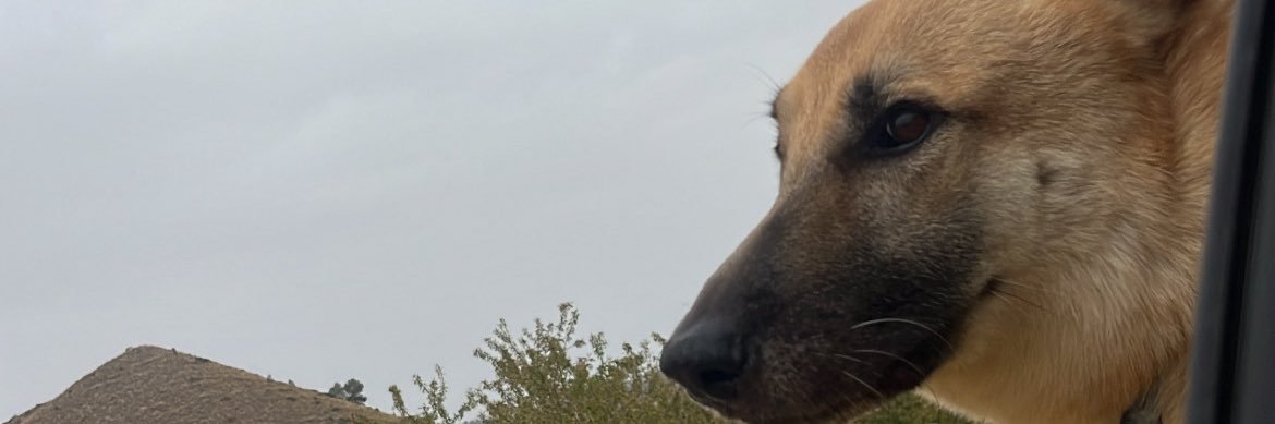 lozanitoalbert's profile banner image