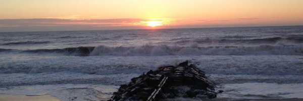 dreichenbecher Profile Banner