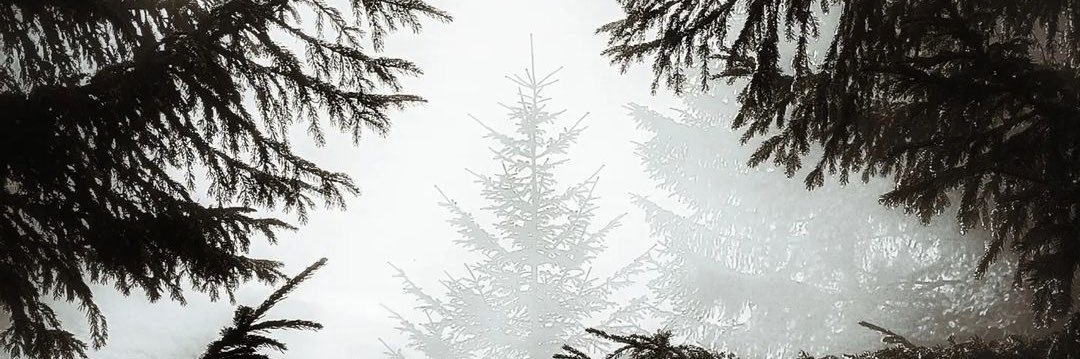 aoverton_ 🇬🇧 banner