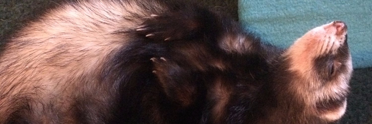 nannahplum's profile banner image