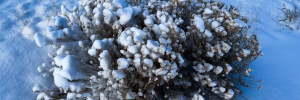 aksessi Profile Banner