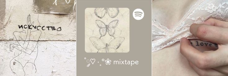 cvterel's profile banner image