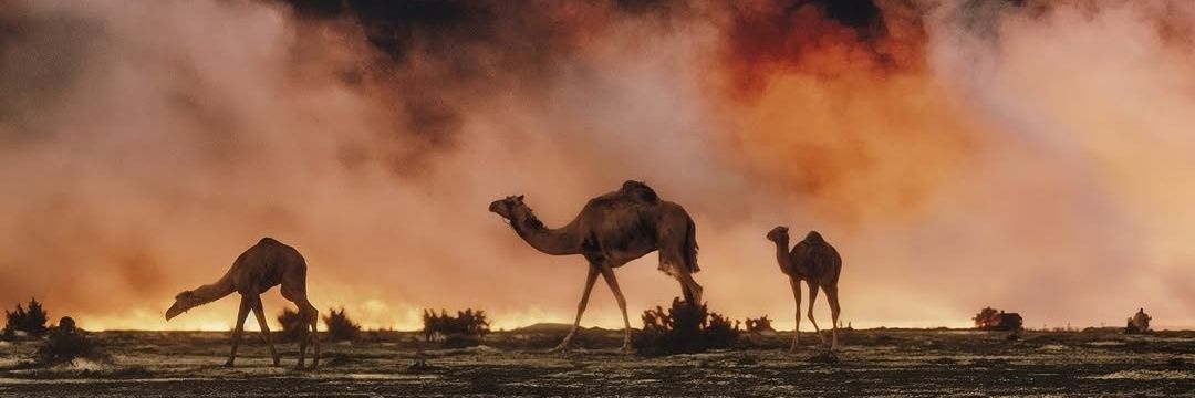 مطارح🌙 banner