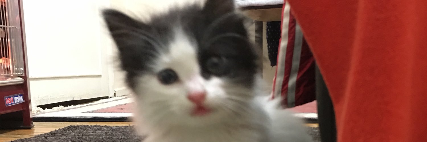 Isikadalar's profile banner image