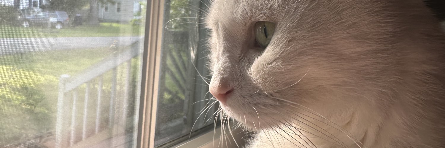 niceasfxck's profile banner image
