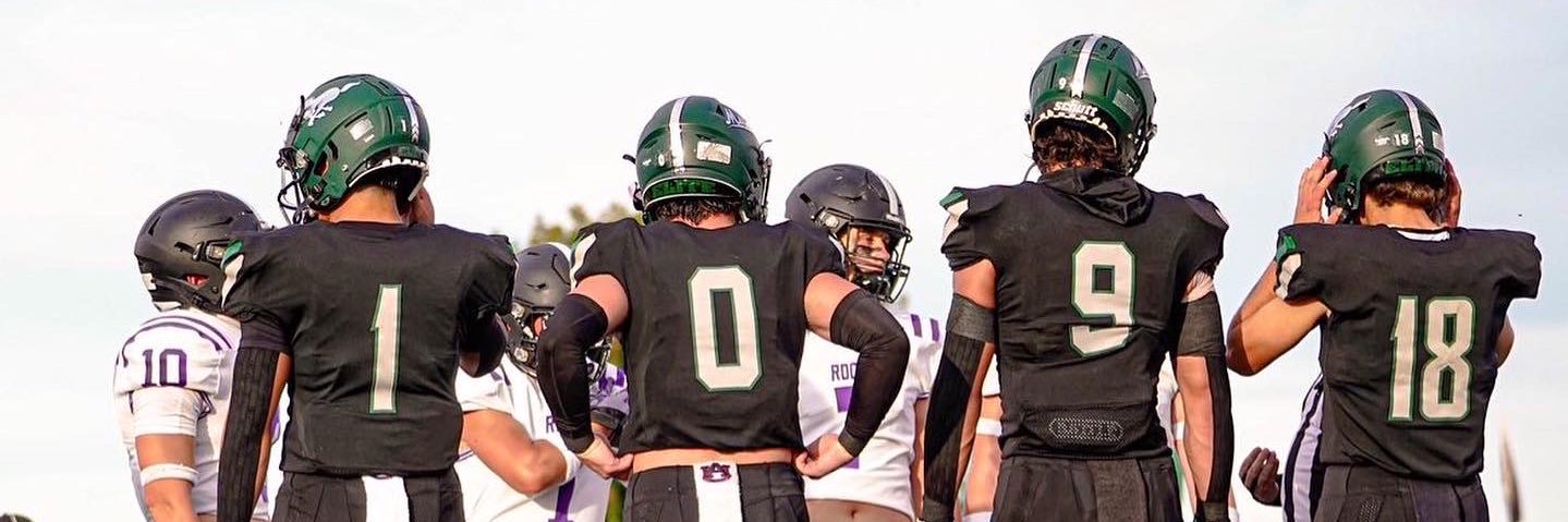 Makeo Sneddon banner