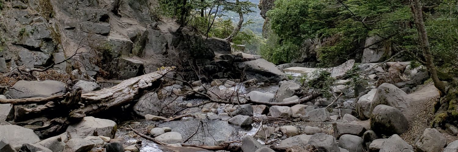 fedepernuzzi's profile banner image
