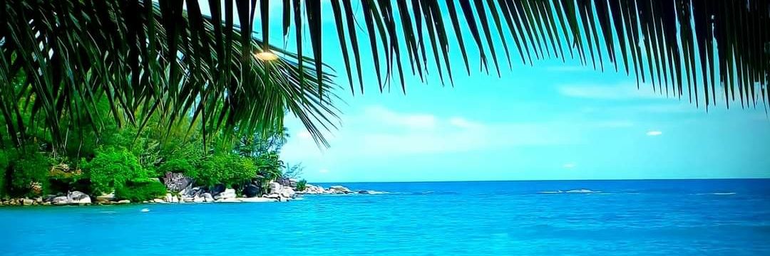 beyondbaking's profile banner image