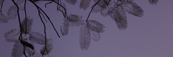adrisoacha Profile Banner