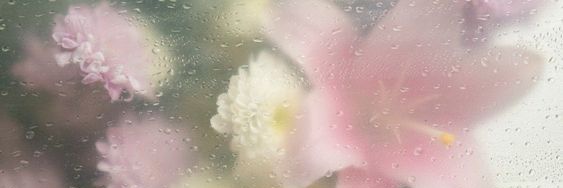 s banner