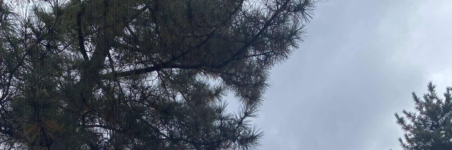 れい banner