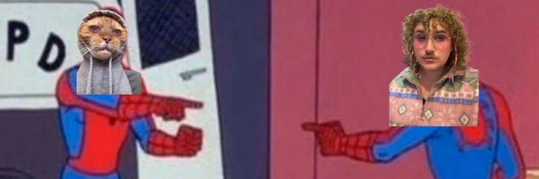 Boa the Bemused ✨ banner