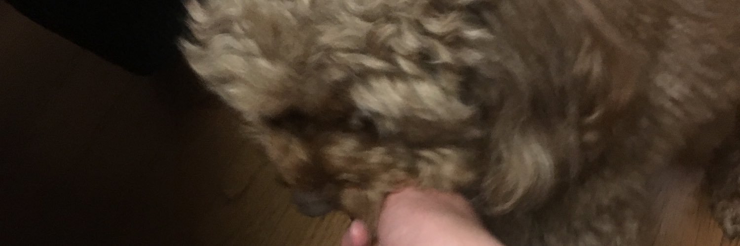 teruki9211's profile banner image