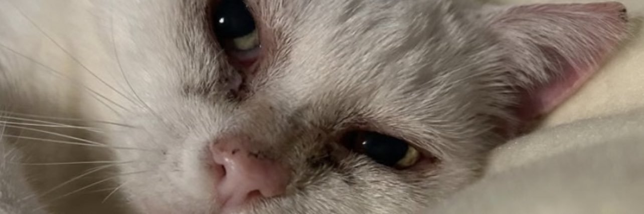 RSimpson1999's profile banner image