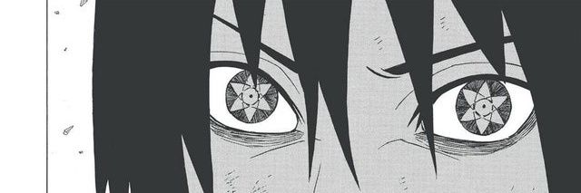 Professional Hater banner